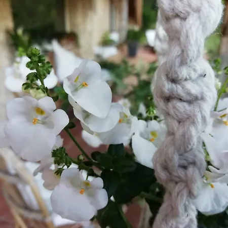 Bed and breakfast La Maison Ananda