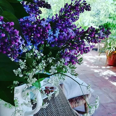 Bed and breakfast La Maison Ananda Trentels