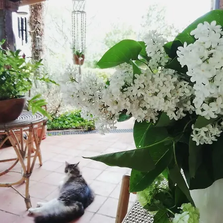 La Maison Ananda *
