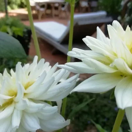 Bed and breakfast La Maison Ananda