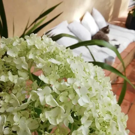 Bed and breakfast La Maison Ananda