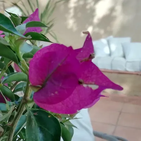 La Maison Ananda *